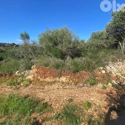 Land For Sale dibbieh | أرض للبيع في الدبية