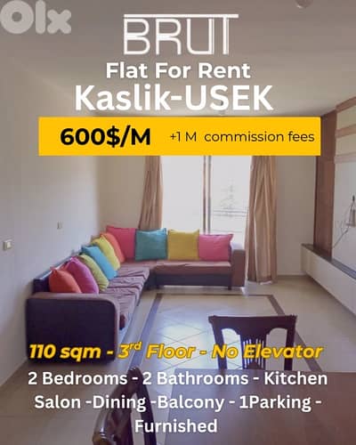 Apartment for rent in Kaslik USEK