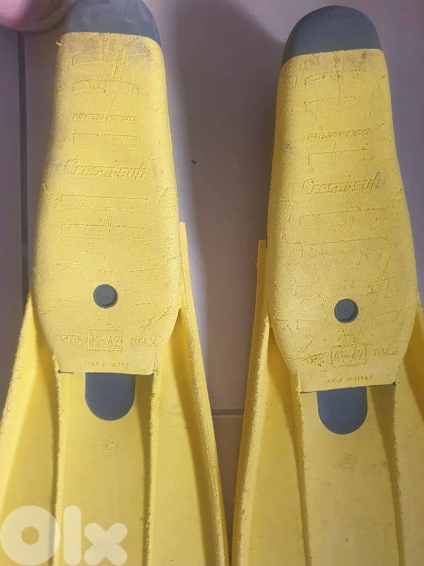 diving fins 1