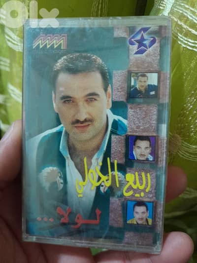 ربيع الخولي