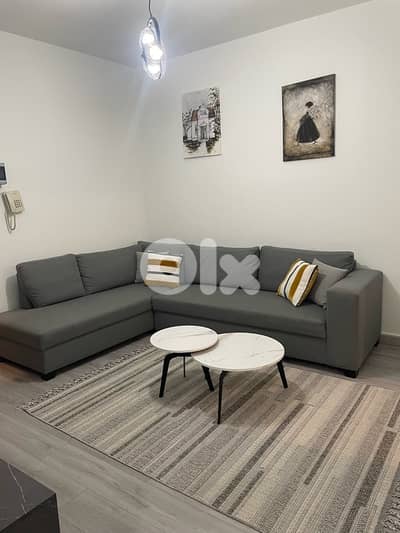Furnished one bedroom apartment for rent in Ashrafieh Sioufi