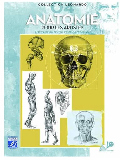 Anatomie pour les artistes