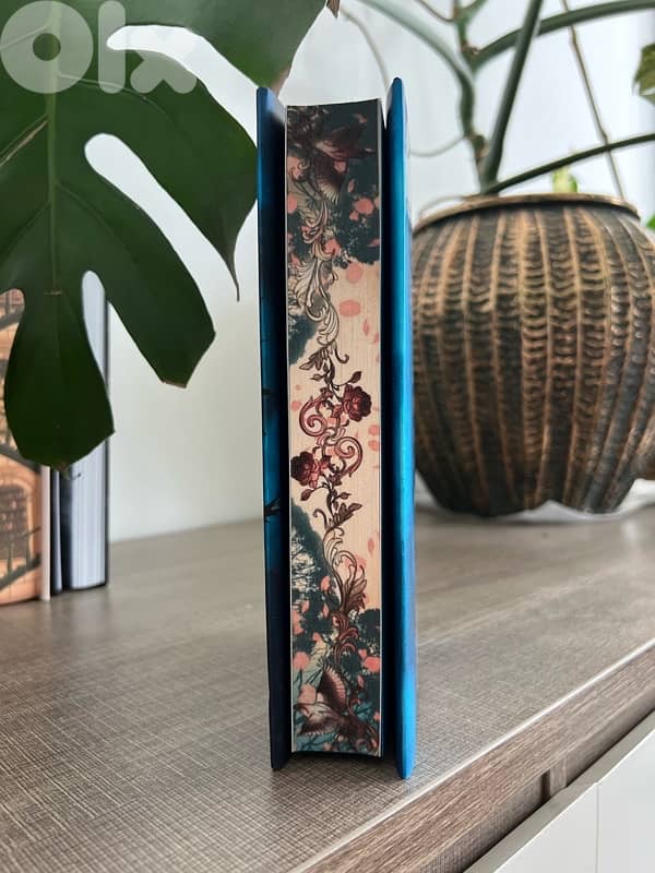 Book - Fall of Ruin and Wrath - Special Edition 2