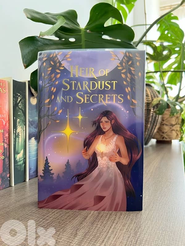Book - Heir of Stardust and Secrets - Special Edition from Bookish Box 1