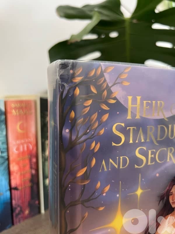 Book - Heir of Stardust and Secrets - Special Edition from Bookish Box 4