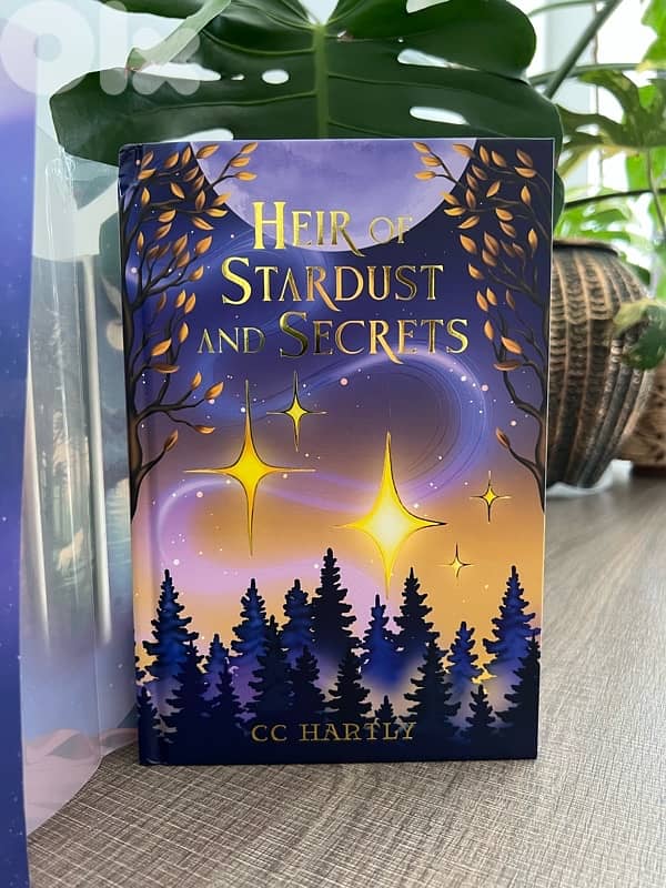 Book - Heir of Stardust and Secrets - Special Edition from Bookish Box 6