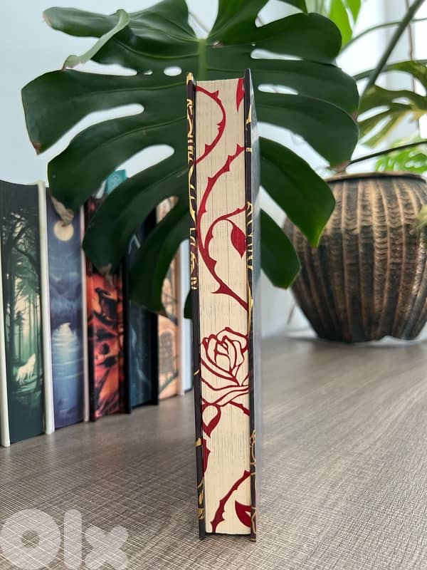 Book - Entreat Me - Special Edition from Arcane Society 3