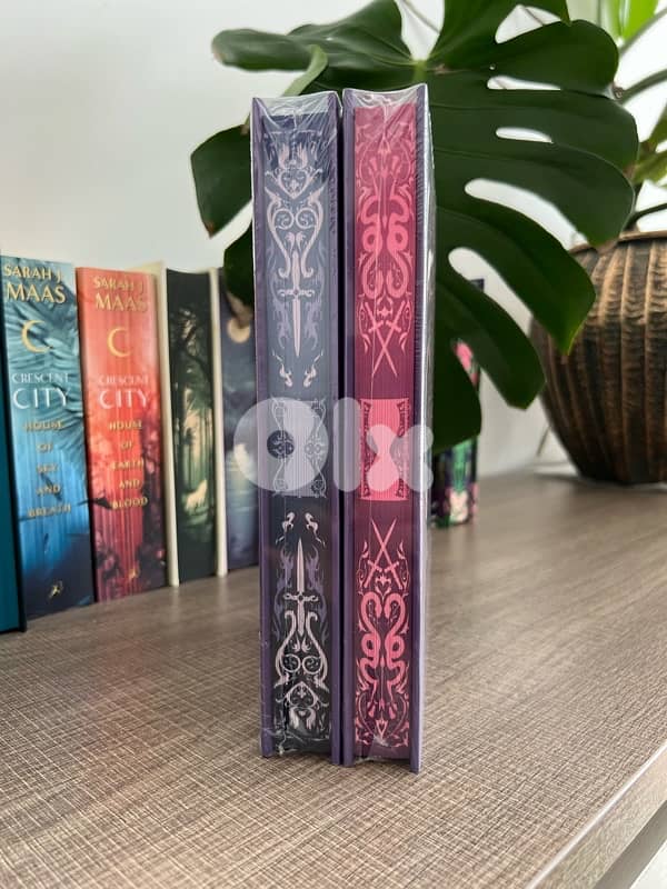 Books - A Court this Cruel and Lovely - Special Edition 2
