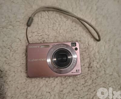 Sony DSC W130