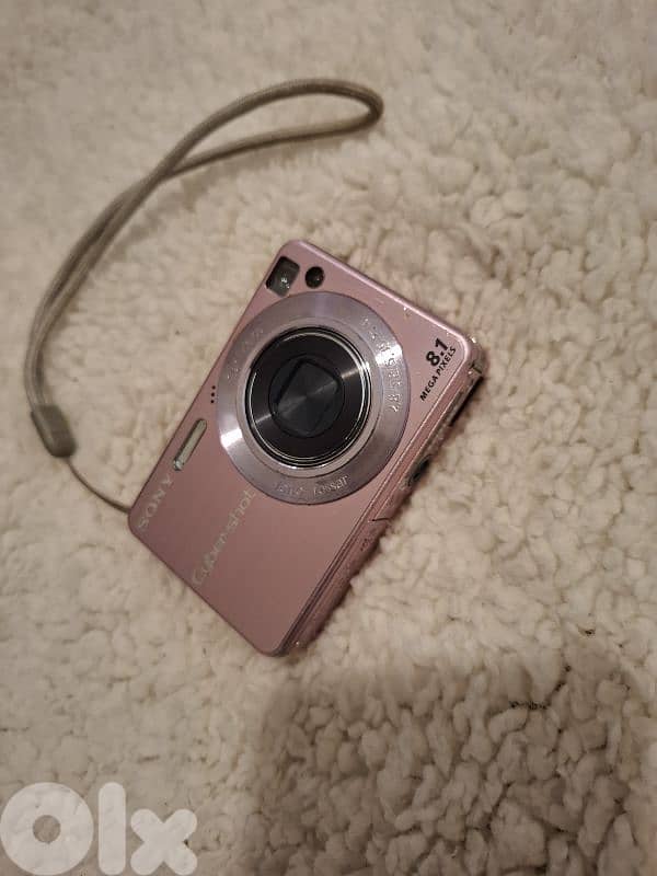 Sony DSC W130 1