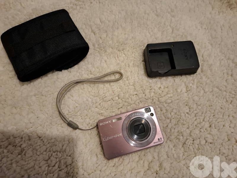 Sony DSC W130 4