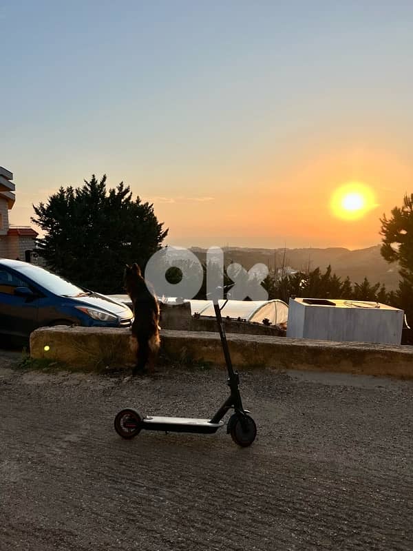 scooter 1
