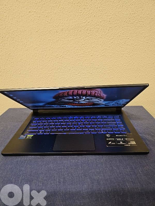 rtx 3060 -  core i7 11th gen - RGB keyboard- gaming msi laptop 6