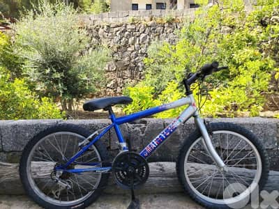 bike 20