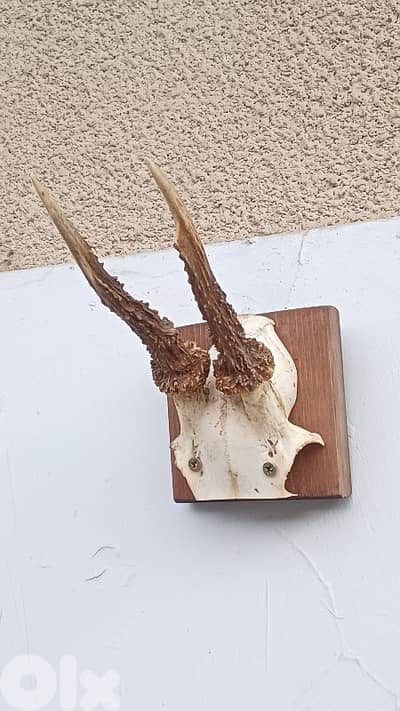 antique