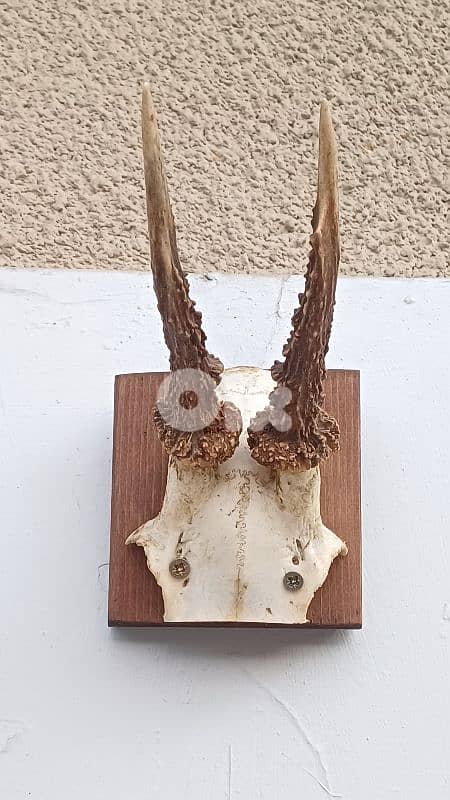 antique 3