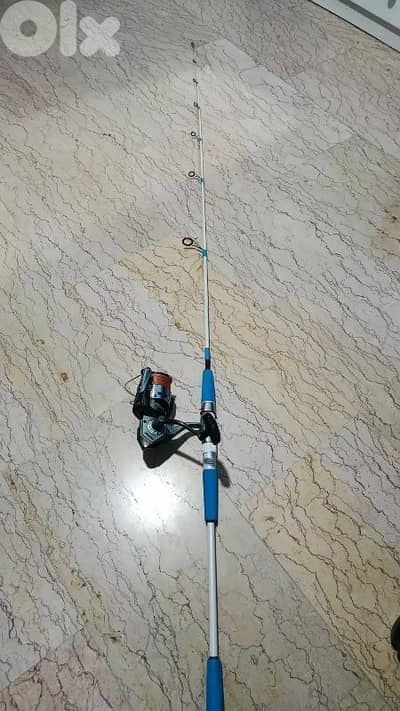 fishing rod and reel (alaris & honoreal)