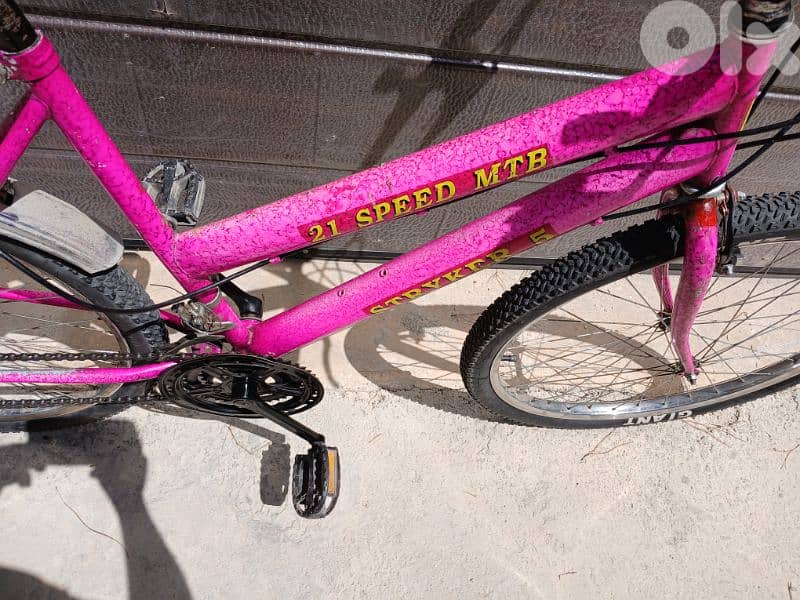 Stryker bike 1