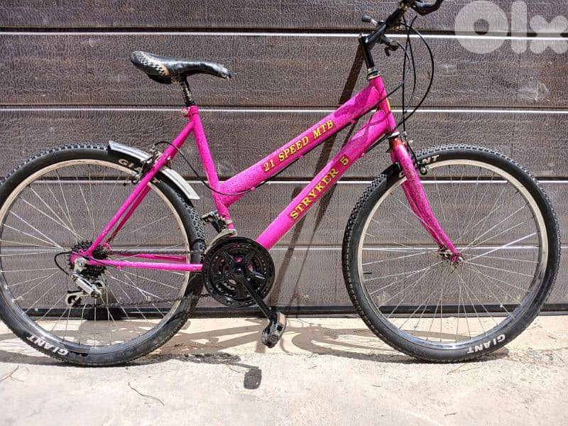 Stryker bike 2