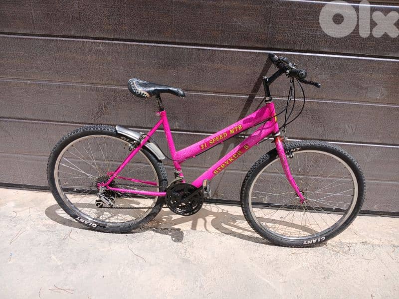 Stryker bike 3