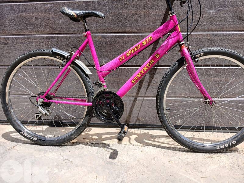 Stryker bike 4