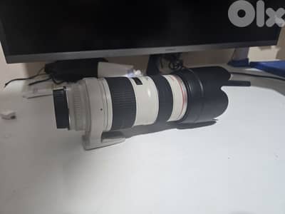 canon EF 70-200mm f 2.8 L