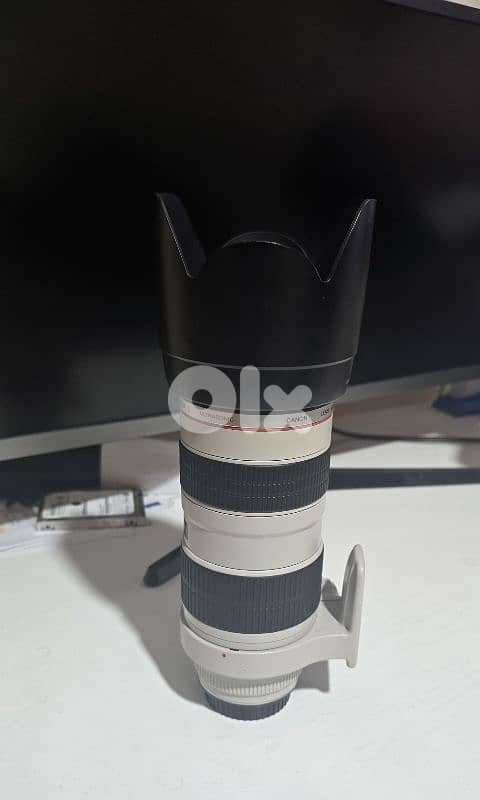 canon EF 70-200mm f 2.8 L 1