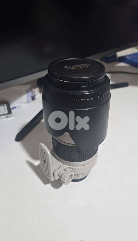 canon EF 70-200mm f 2.8 L 2