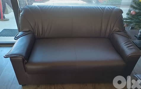 Leather Sofas
