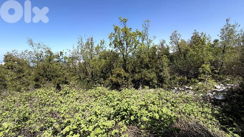 RWB381CA - Land for sale in Mechmech Jbeil 3