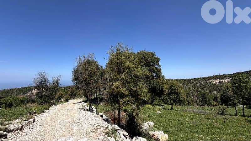 RWB382CA - Land for sale in Mechmech Jbeil 5