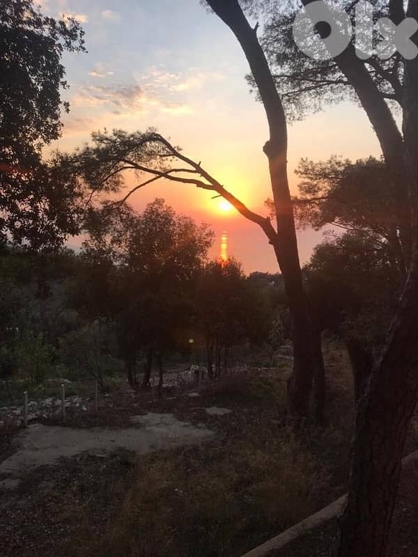 Land for sale in Dlebta (Ghazir) 1