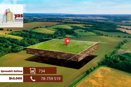 Qennabit Salima 734m2 | Land | Low Zone | Prime Location | TCH