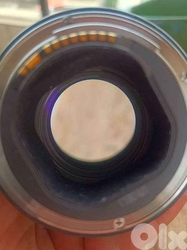 Canon Lenses 3