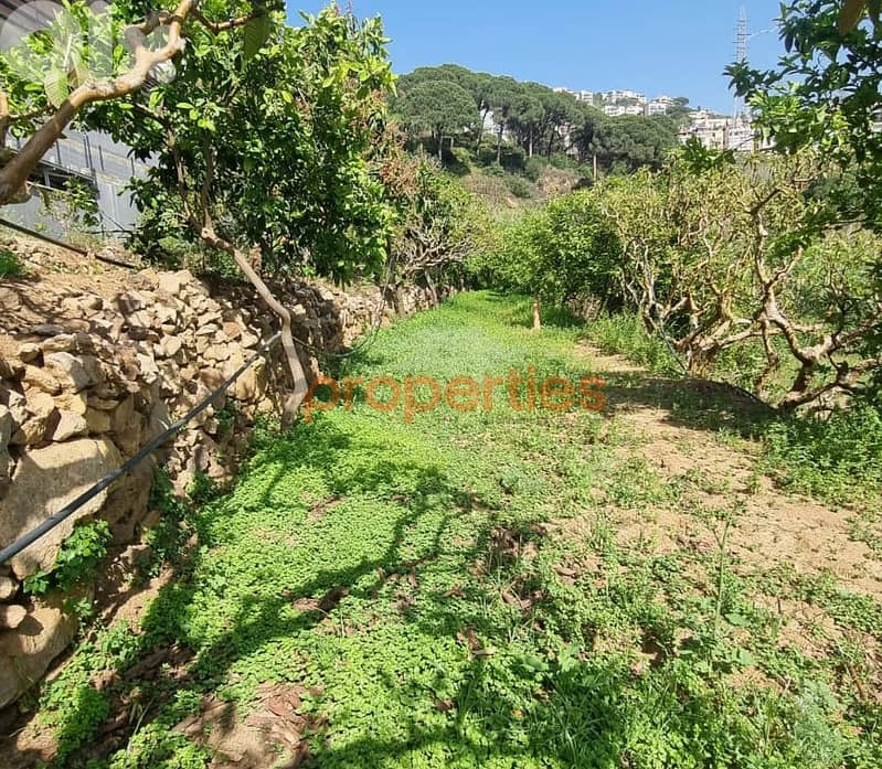 Land For Rent In Kahaleh – CPBMH18 1