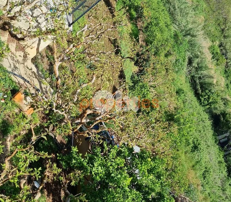 Land For Rent In Kahaleh – CPBMH18 2