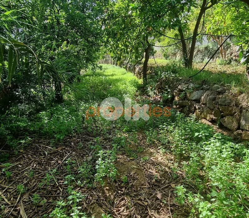 Land For Rent In Kahaleh – CPBMH18 4