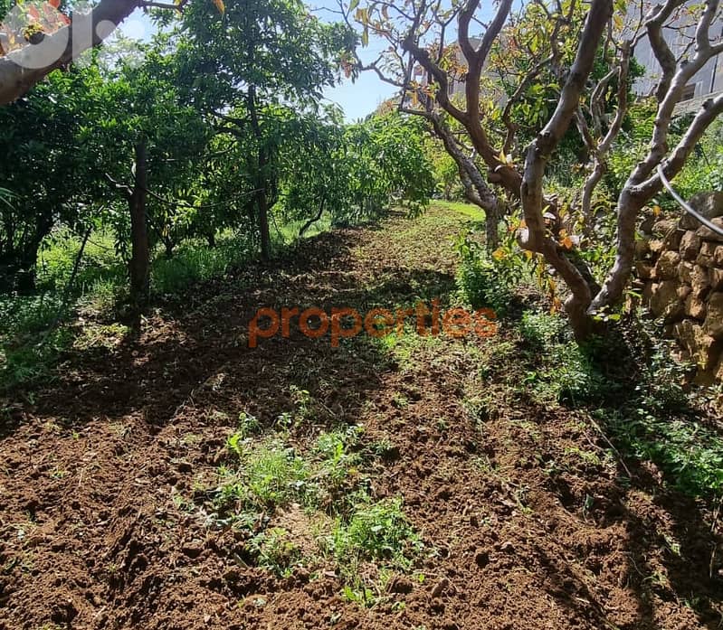Land For Rent In Kahaleh – CPBMH18 7