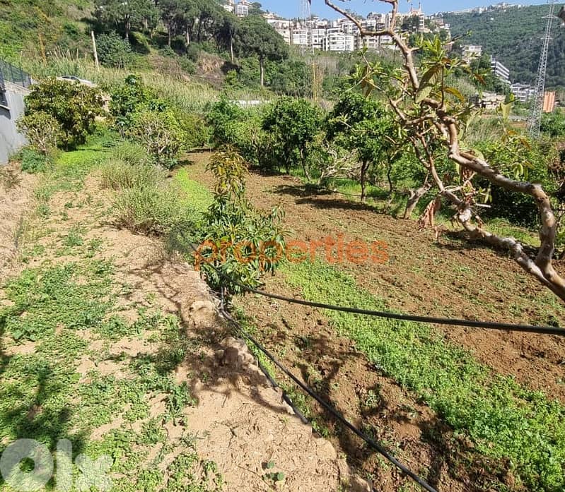 Land For Rent In Kahaleh – CPBMH18 9