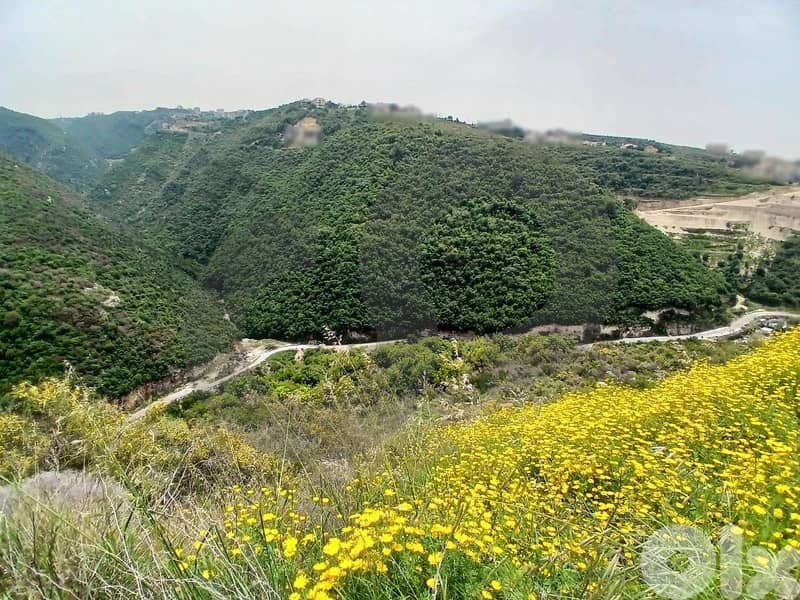 unobstructed view, Investors call, Hboub, Jbeil/حبوب REF#DC136174 1
