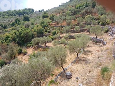 Land for sale in Assia Batroun below market price