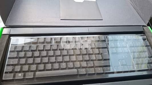 razer Ornata v2 (with wrist rest)