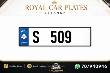 S 509    Special 3 digits car plate number for sale