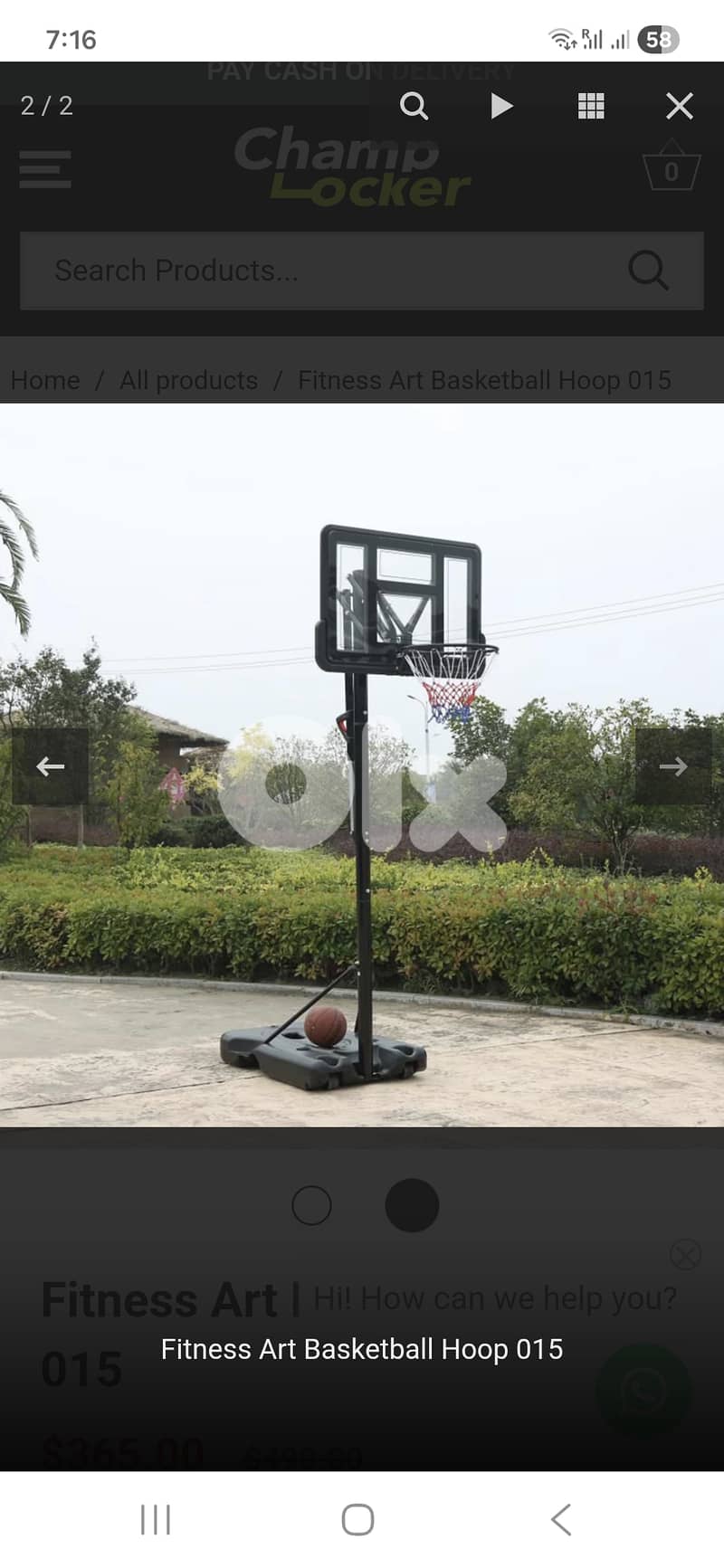 Basketball Hoop 1