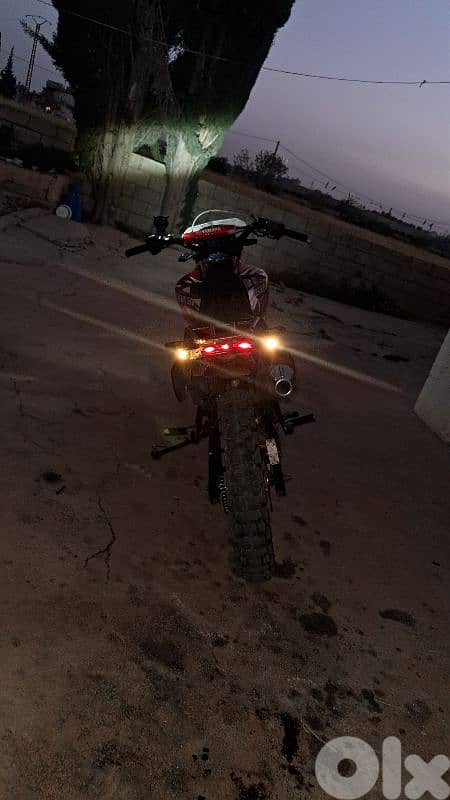 tekin 6