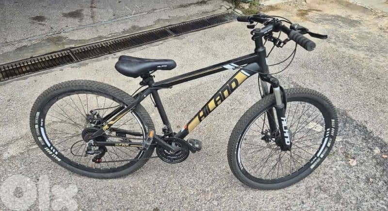Hiland bicycle 1