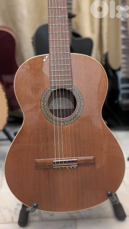 professional classical guitar Alhambra 1