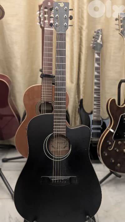 moon electro accoustic guitar