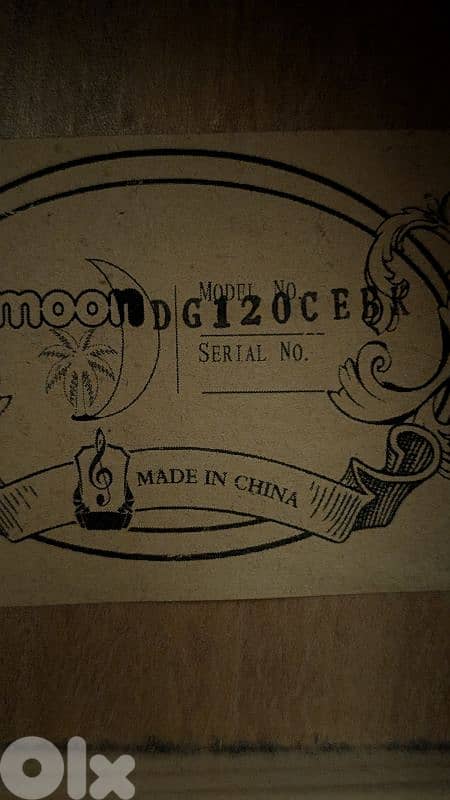 moon electro accoustic guitar 1