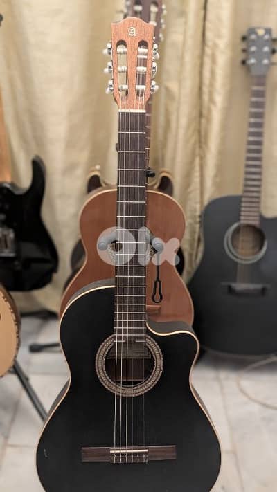 Alhambra professional guitar